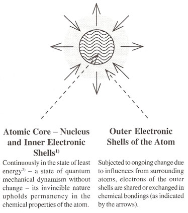 Atomic Core and Outer Electronic Shells of the Atom